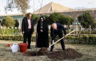 کاشت یک اصله درخت توسط رئیس مجلس شورای اسلامی
